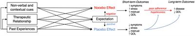 What Do Placebo and Nocebo Effects Have to Do With Health Equity? The Hidden Toll of Nocebo Effects on Racial and Ethnic Minority Patients in Clinical Care